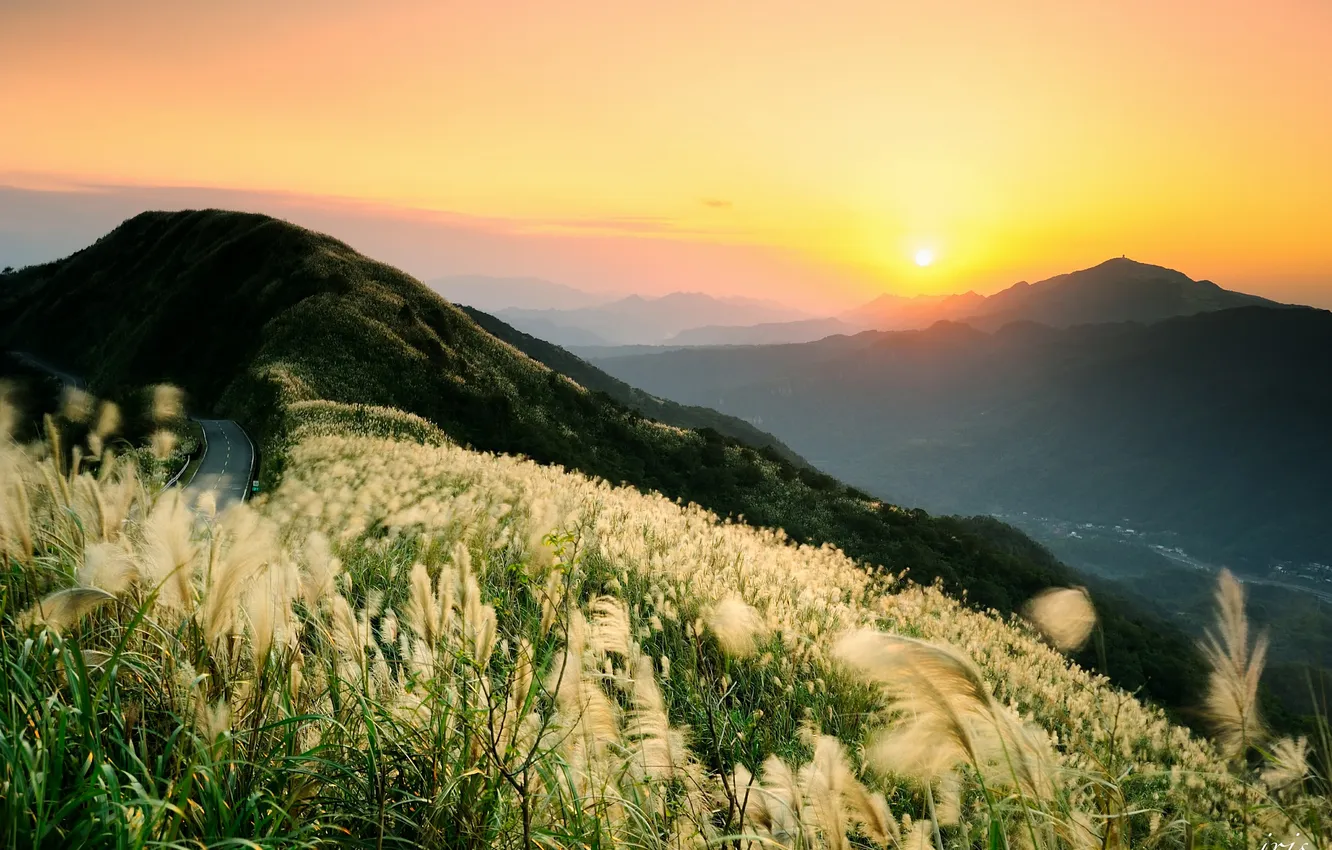 Photo wallpaper road, grass, sunset, mountains, hills, spikelets, fluffy