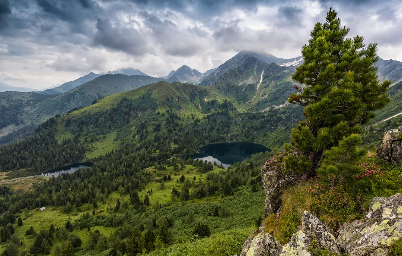 Photo wallpaper lake, view, height, mountains, forest, rocks, pine