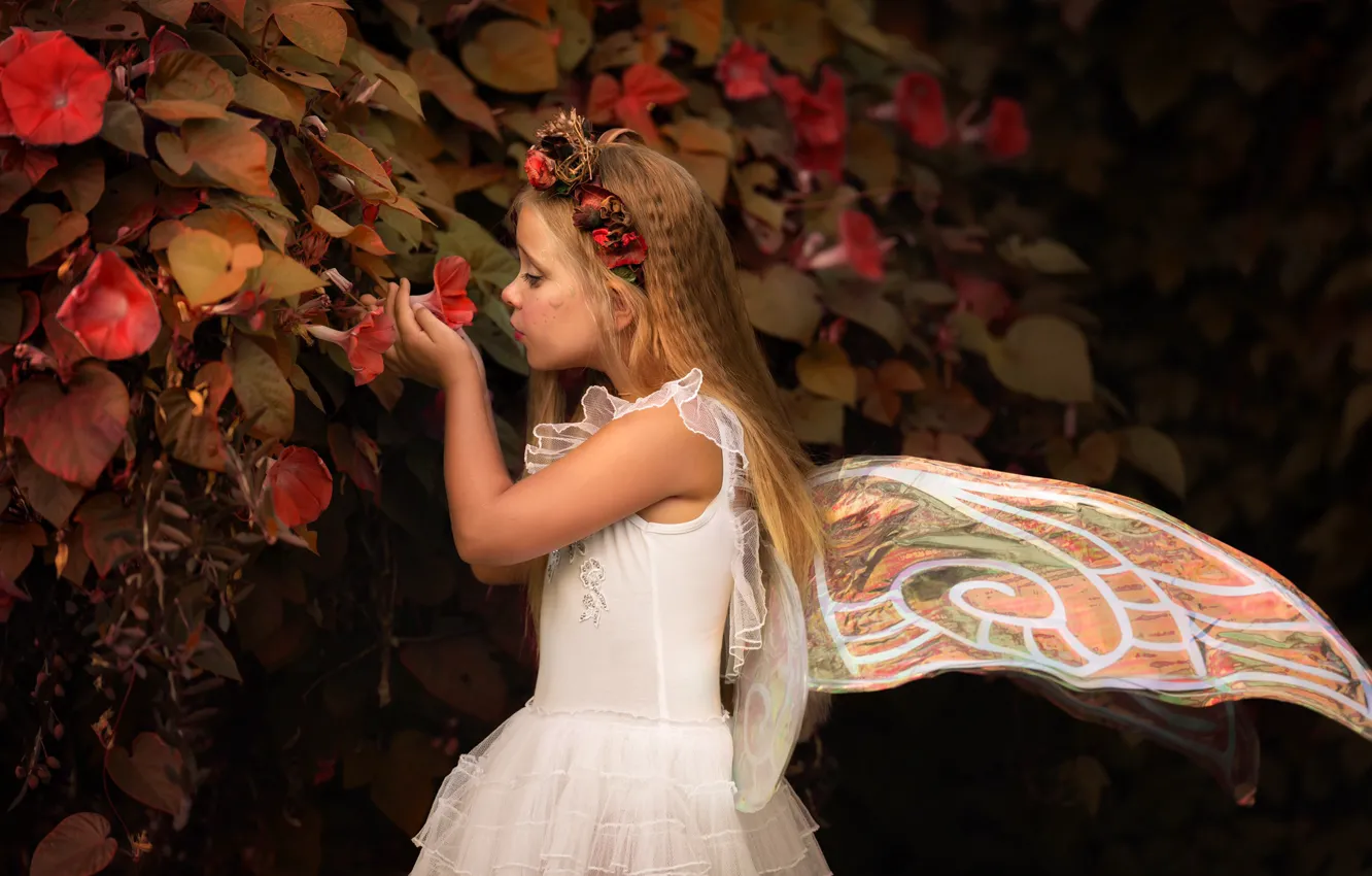 Photo wallpaper leaves, flowers, wings, fairy, girl, wreath, Kuznetsova Victoria