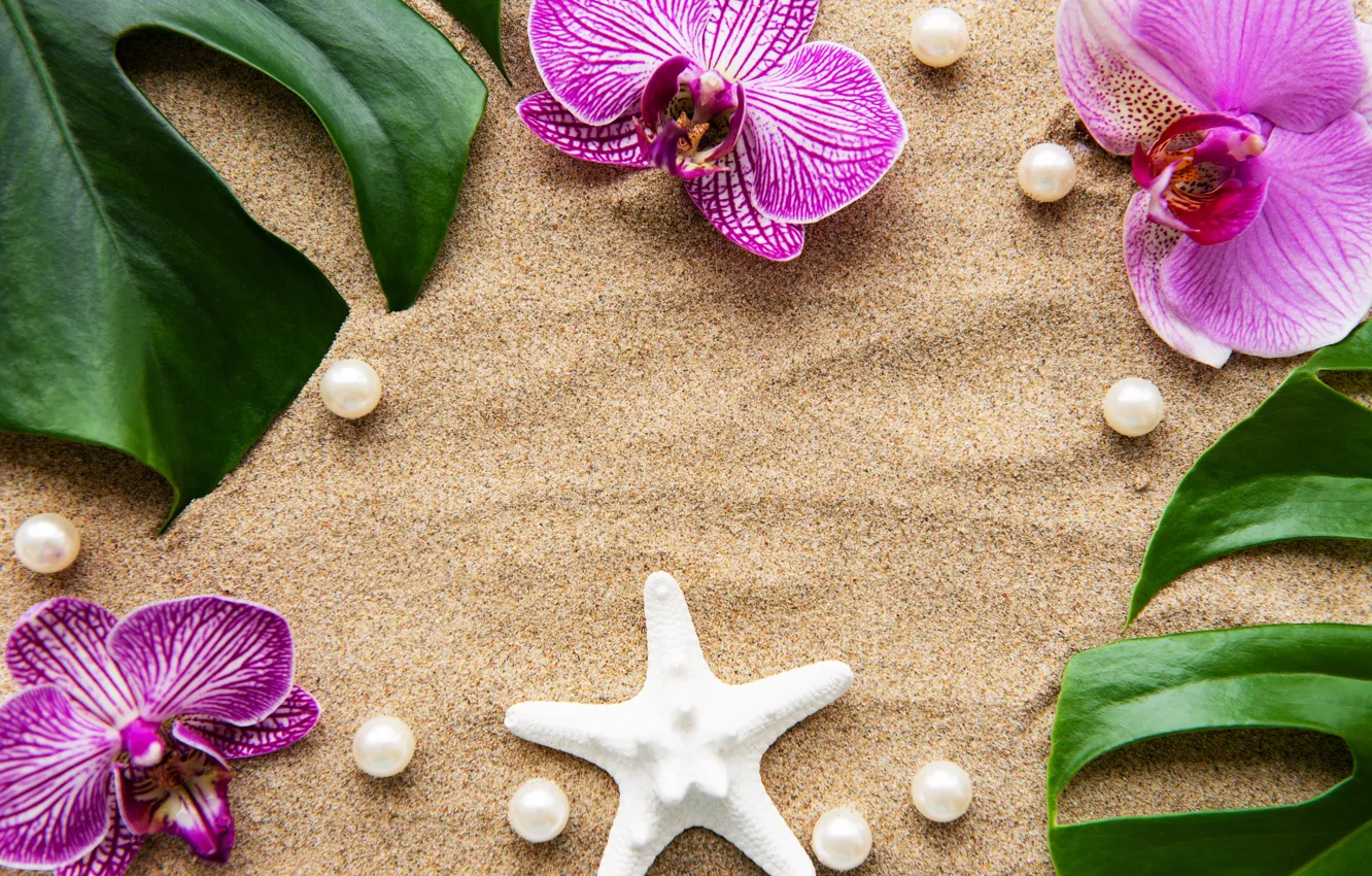 Photo wallpaper sand, leaves, flowers, white, Orchid, pink, flowers, sand