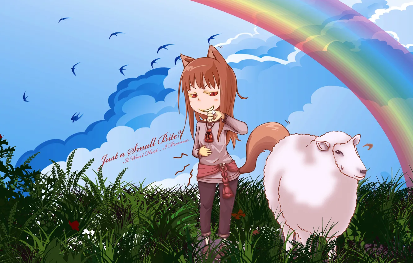 Photo wallpaper the sky, grass, rainbow, tail, ears, sheep, grin, Spice and wolf