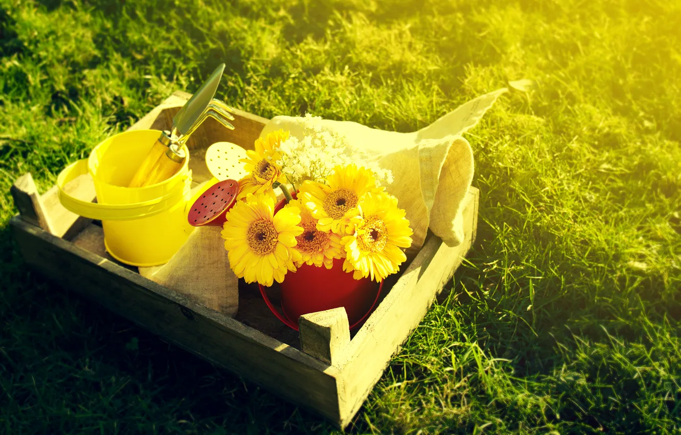 Photo wallpaper grass, flowers, yellow, bouquet, lake, gerbera, bucket, garden tools