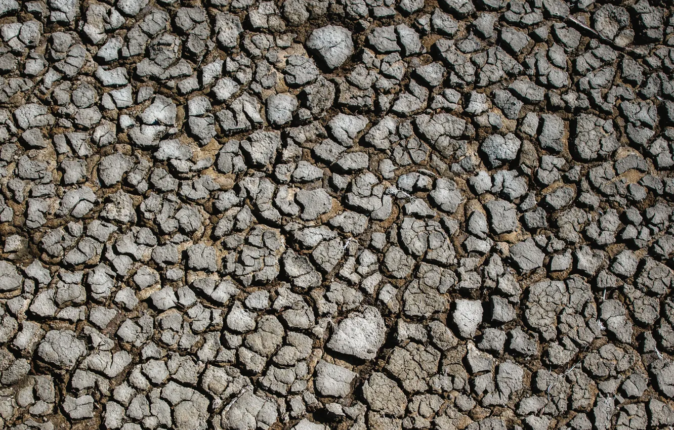 Photo wallpaper surface, cracked, earth, drought, land, drought, surface, cracks