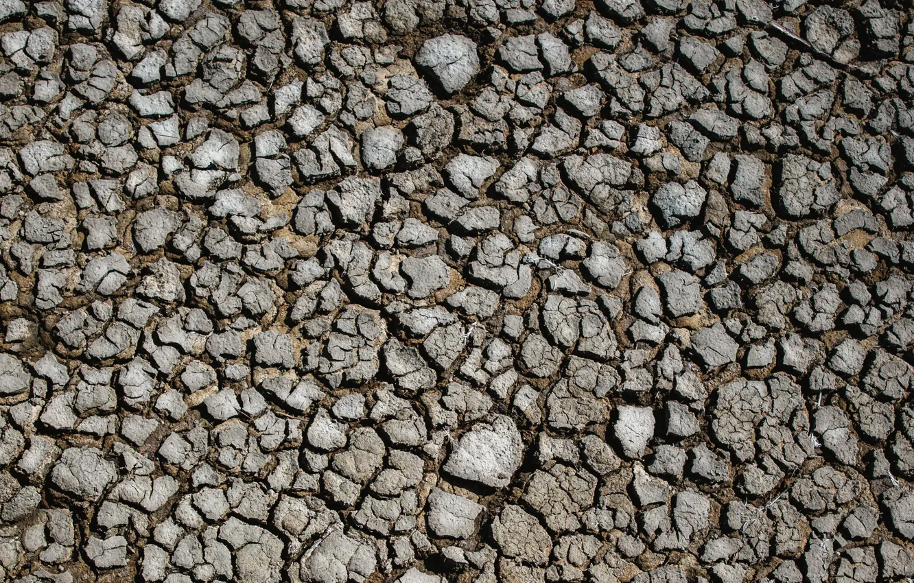 Photo wallpaper surface, cracked, earth, drought, drought, Land, surface, cracks