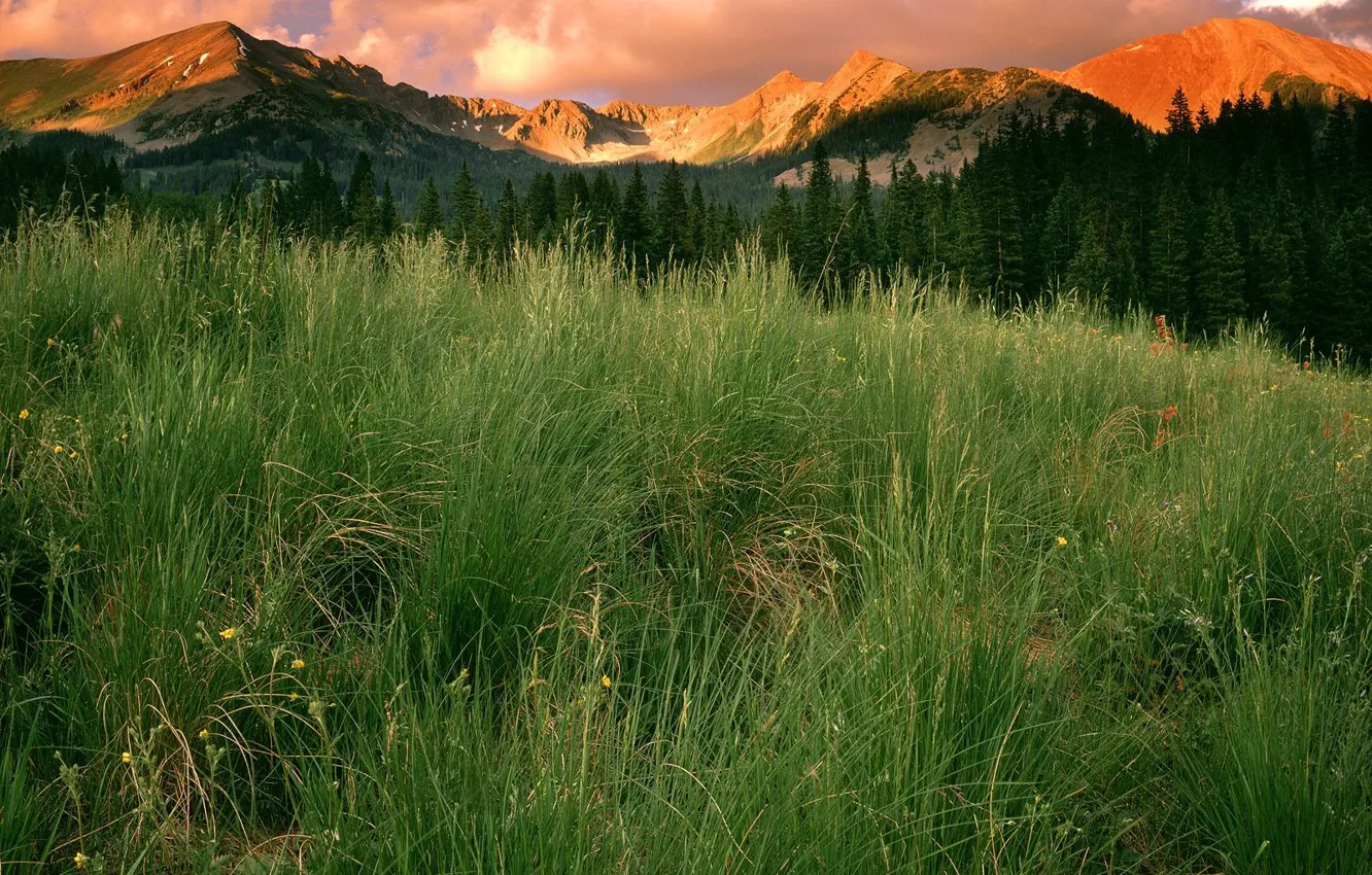 Photo wallpaper grass, clouds, mountains, Park, Colorado