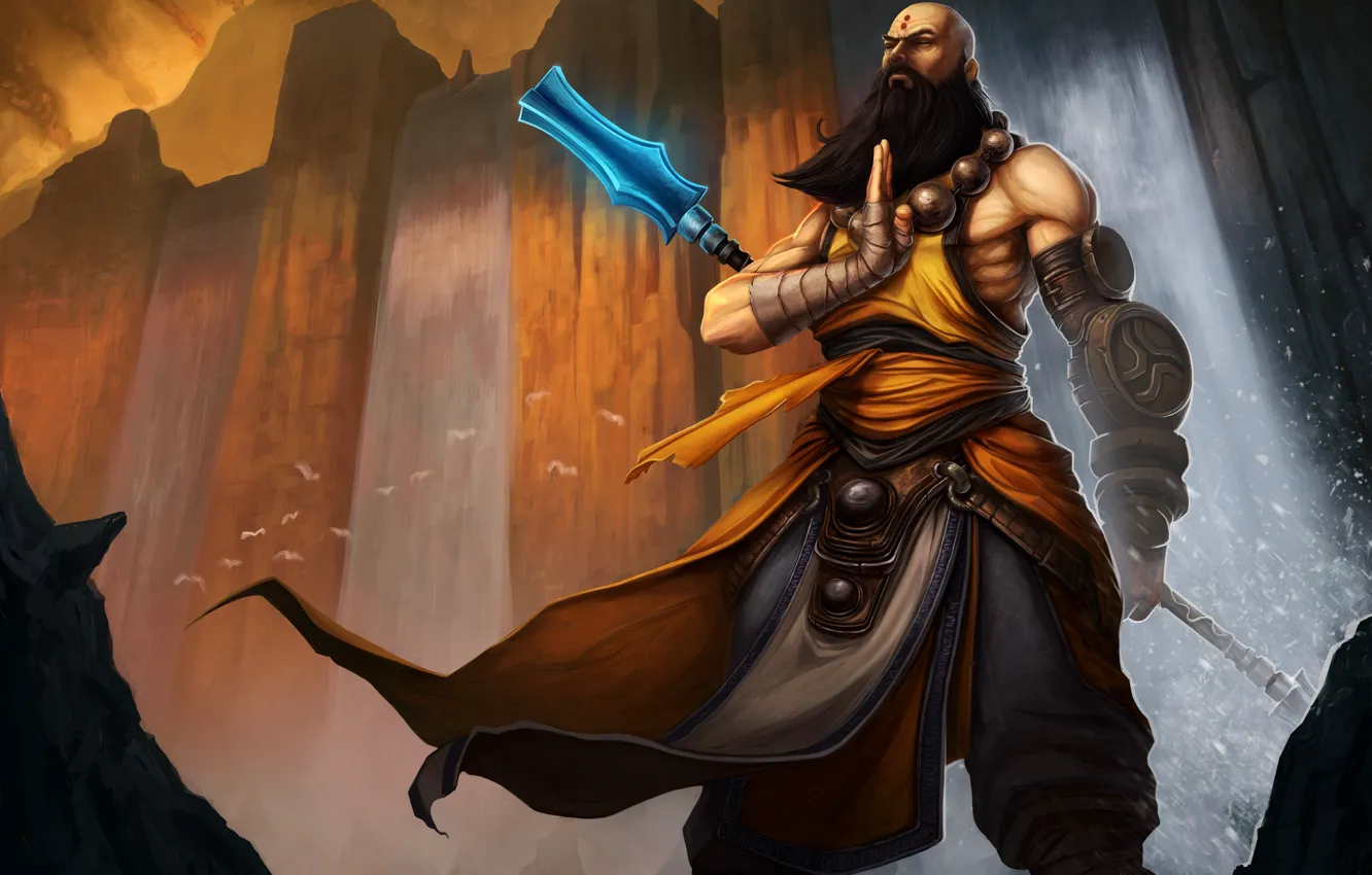 Photo wallpaper beard, Blizzard, Diablo 3, monk