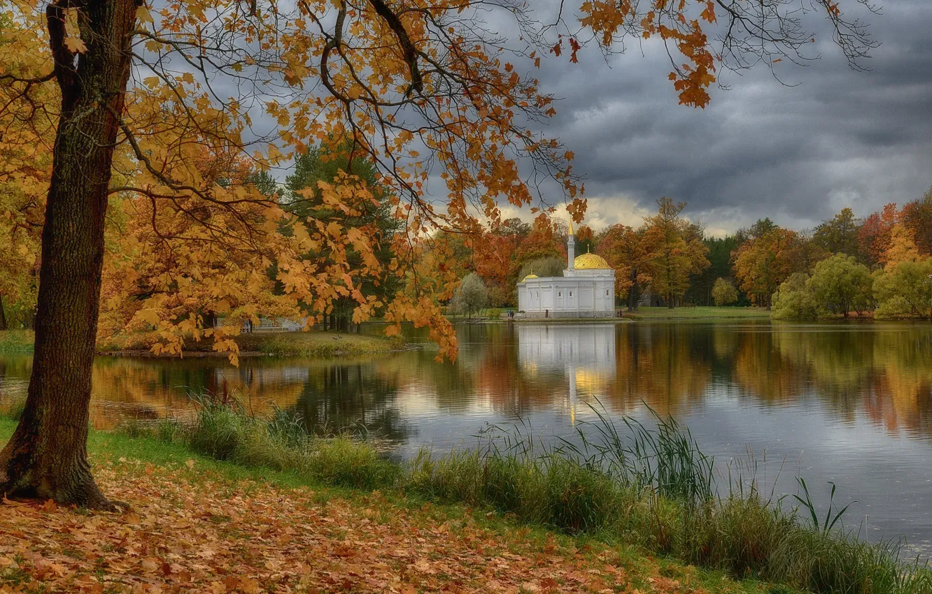 Photo wallpaper autumn, trees, pond, Park, foliage, Saint Petersburg, Russia, Pushkin