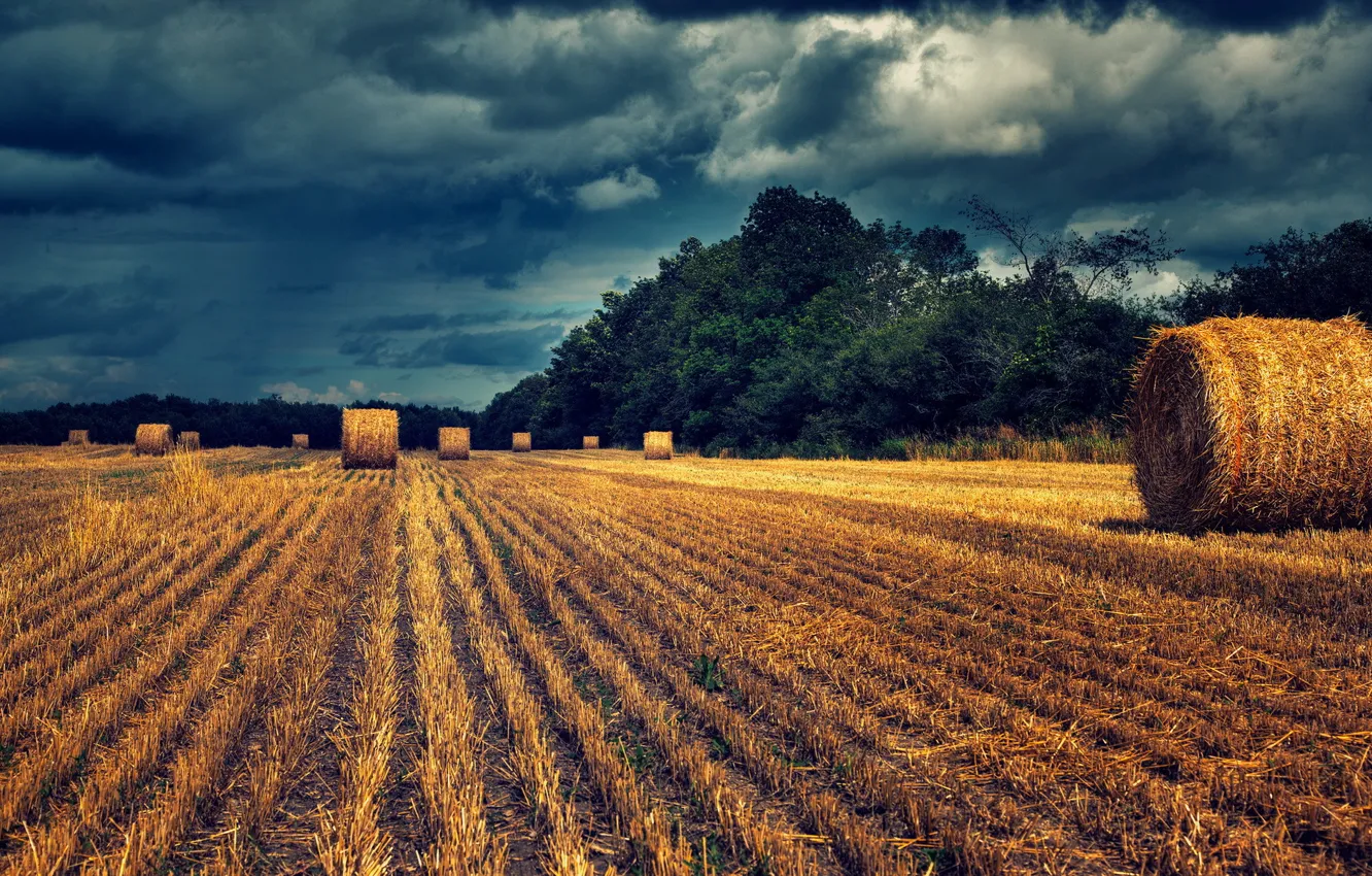 Photo wallpaper field, landscape, hay