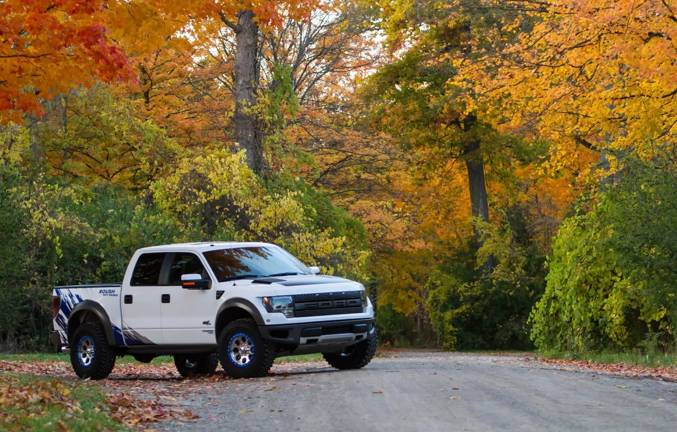 Wallpaper machine, auto, trees, Wallpaper, Ford, F-150, SVT Raptor ...