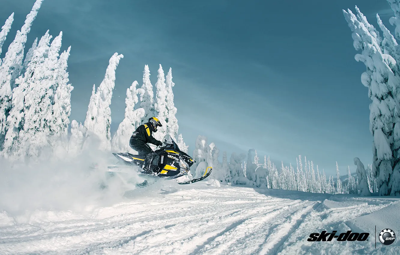 Photo wallpaper forest, snow, sport, snow, snowmobile, Sport, snowmobile, ski-doo