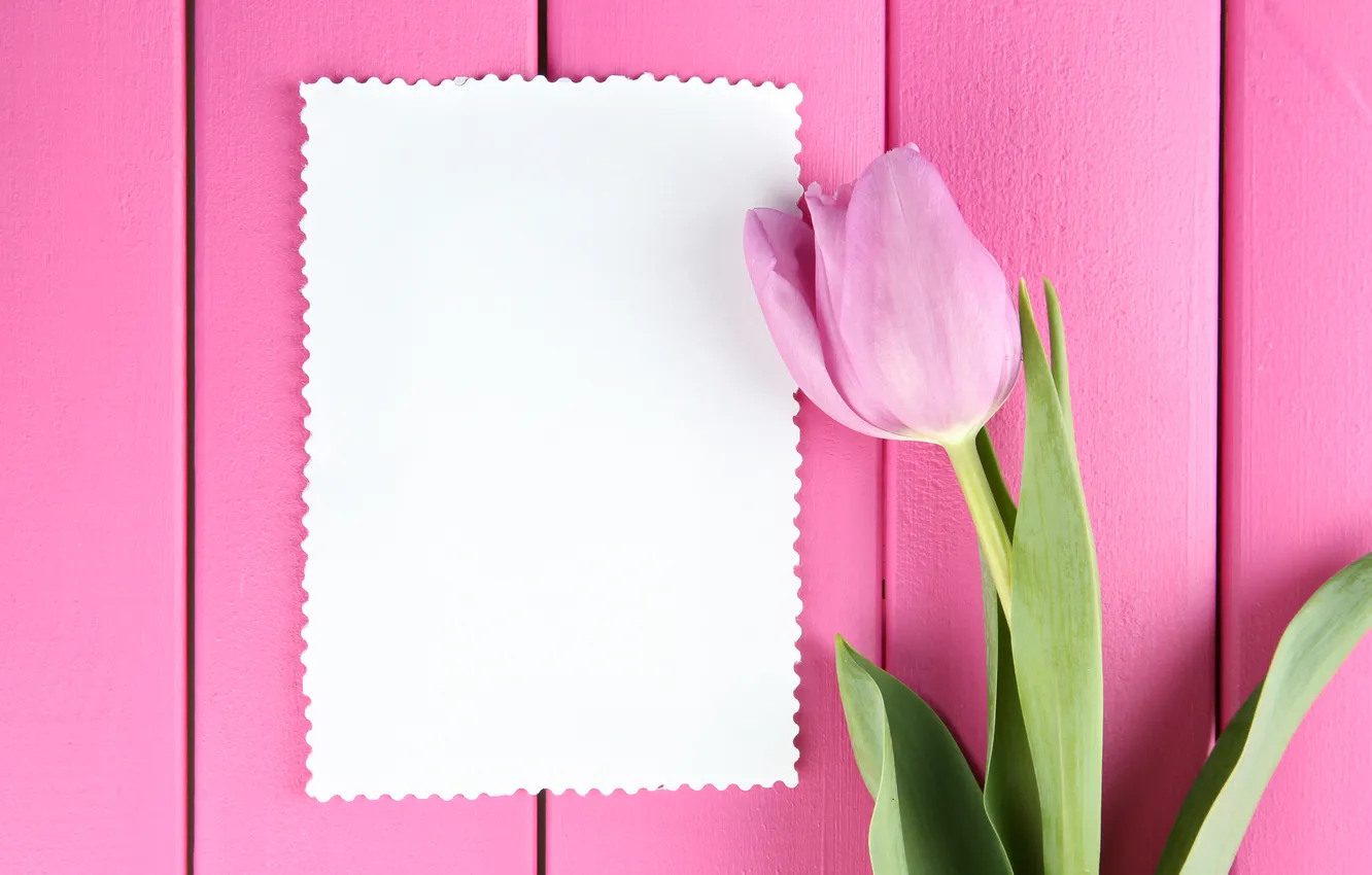 Photo wallpaper flowers, bouquet, tulips, wood, pink, flowers, tulips, postcard