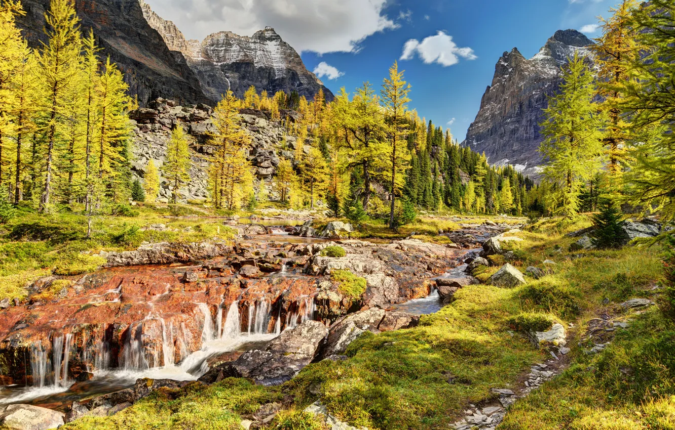 Photo wallpaper trees, mountains, Canada, river, Canada, Yoho National Park