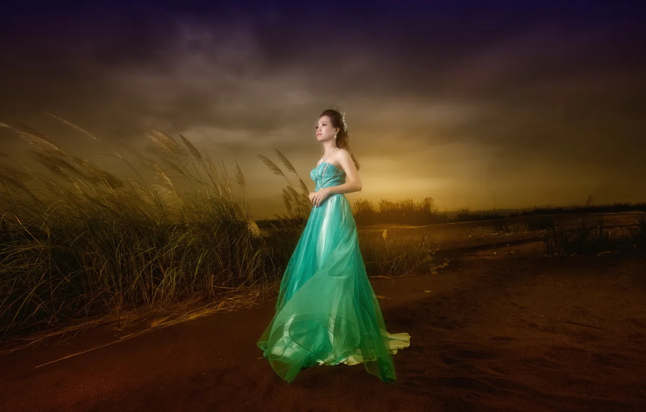 Photo wallpaper girl, pose, background