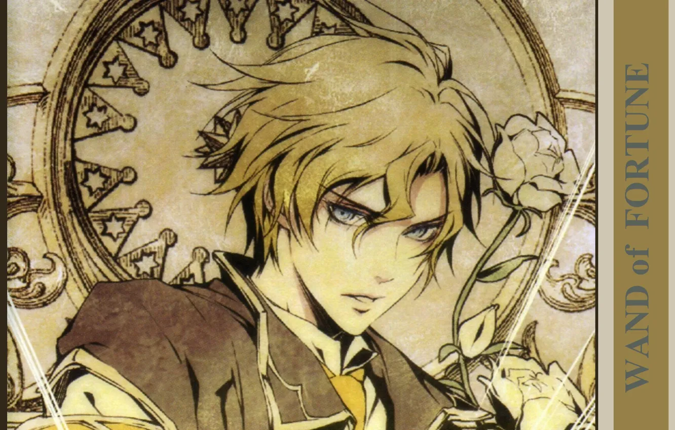 Photo wallpaper guy, blue eyes, white roses, wand of fortune, wand of fortune, Noel Valmore, by kagerou …