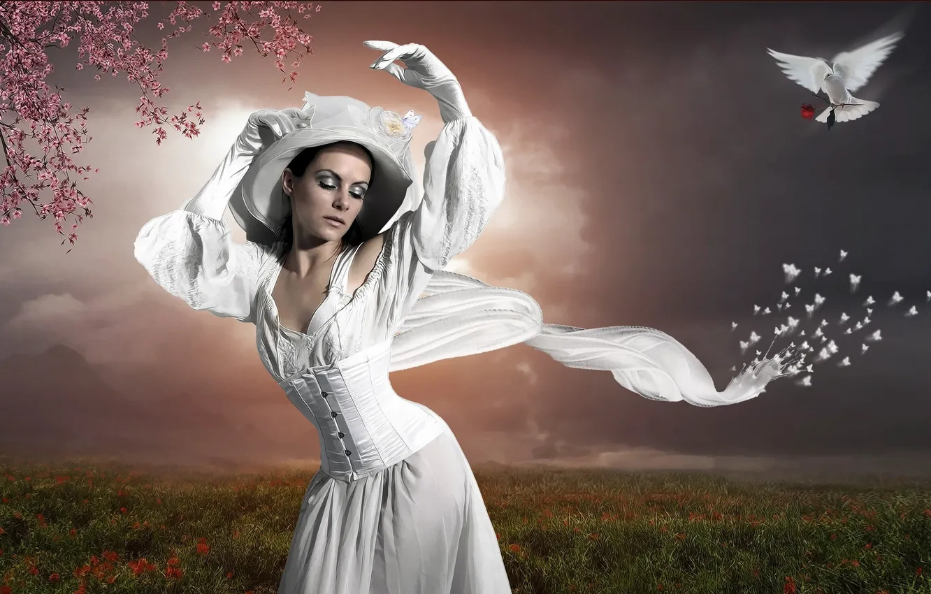 Photo wallpaper girl, the wind, pigeons