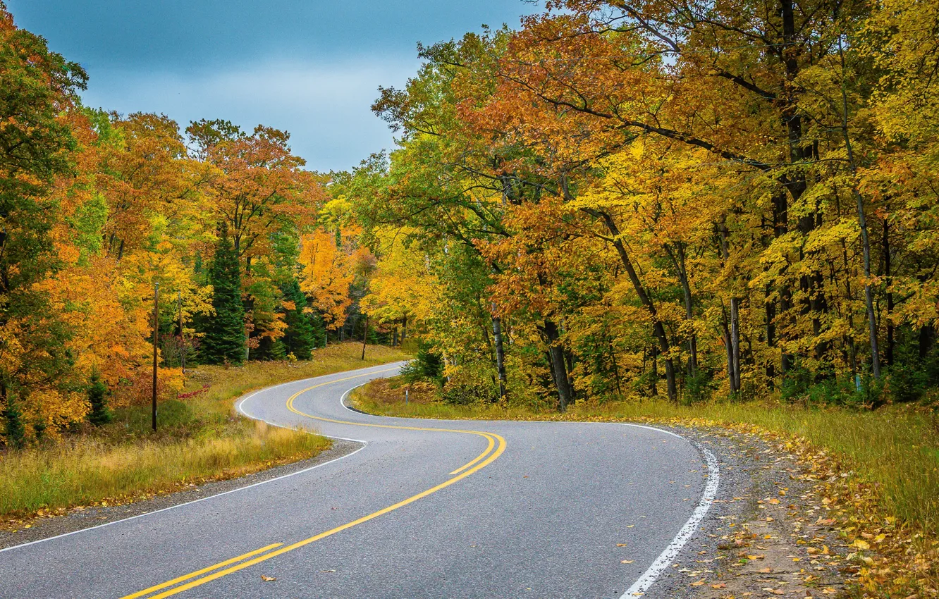 Photo wallpaper road, autumn, leaves, trees