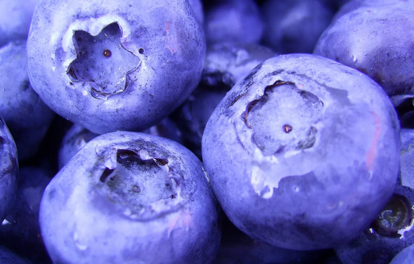 Photo wallpaper macro, berries, food, blueberries, food, macro, 1920x1080, blueberry