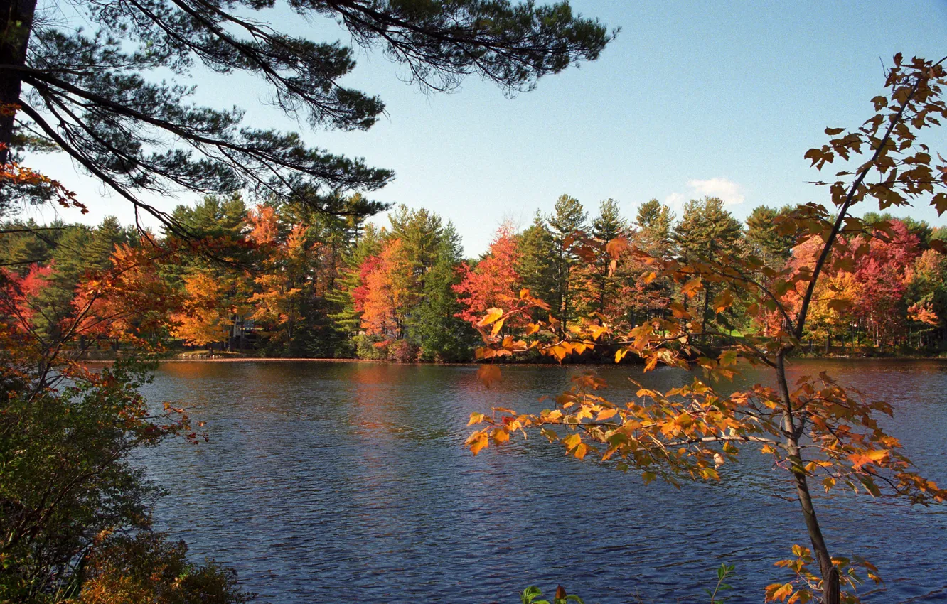 Photo wallpaper autumn, USA, Massachusetts