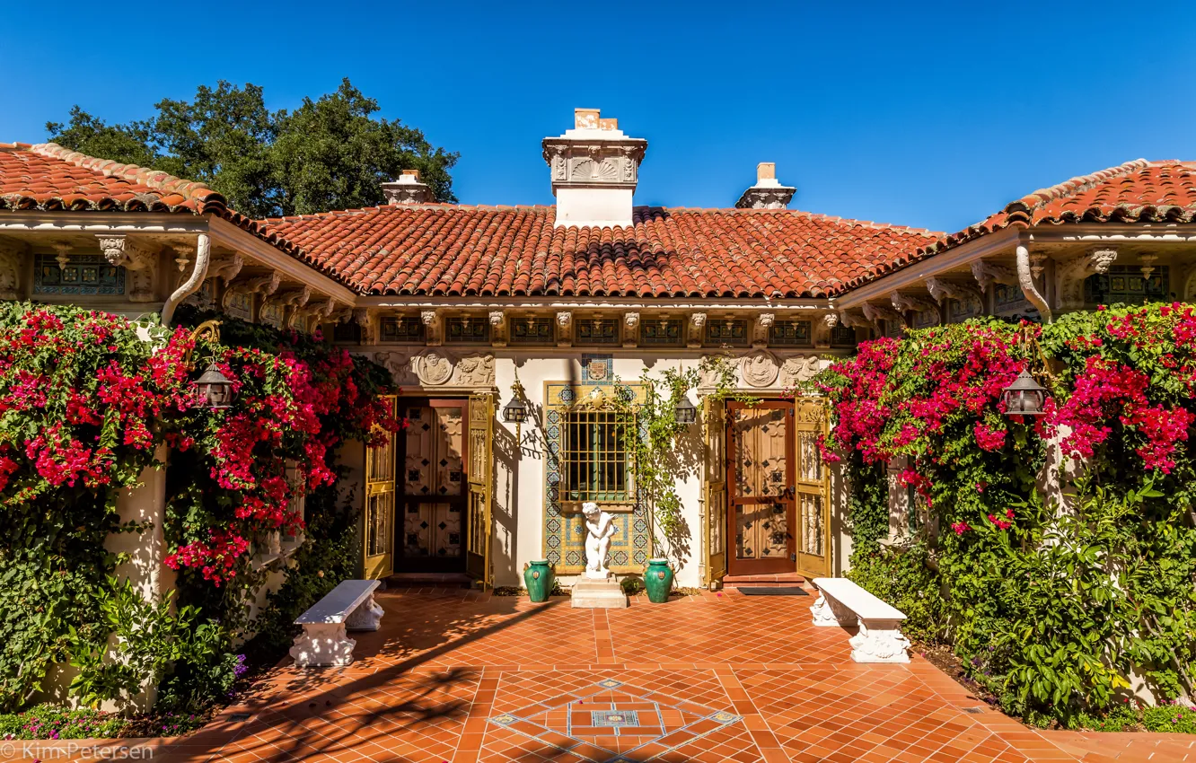 Photo wallpaper the sky, the sun, flowers, design, the door, shop, lights, CA