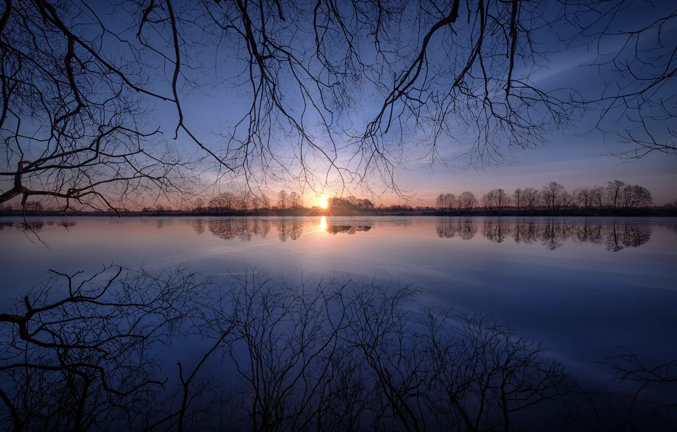 Photo wallpaper water, the sun, trees, dawn