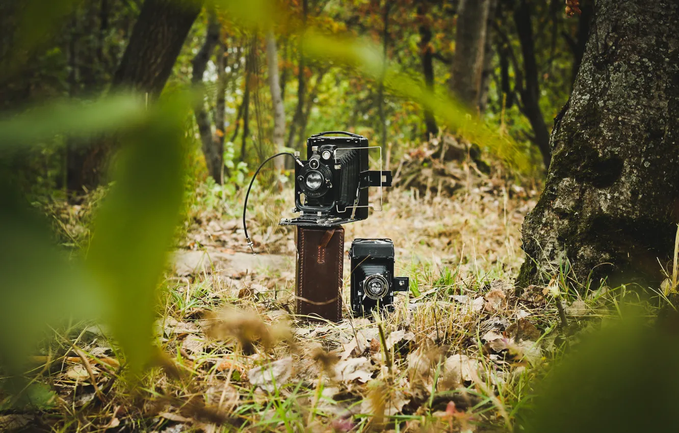 Photo wallpaper camera, macro, Zeiss ikon