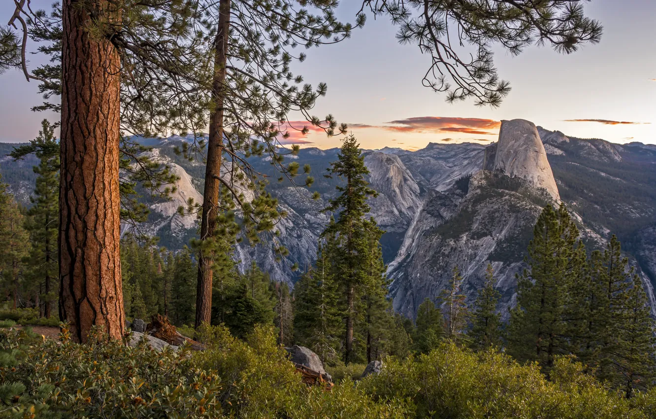 Photo wallpaper trees, mountains, CA, panorama, Yosemite, California, Yosemite national Park, Yosemite National Park