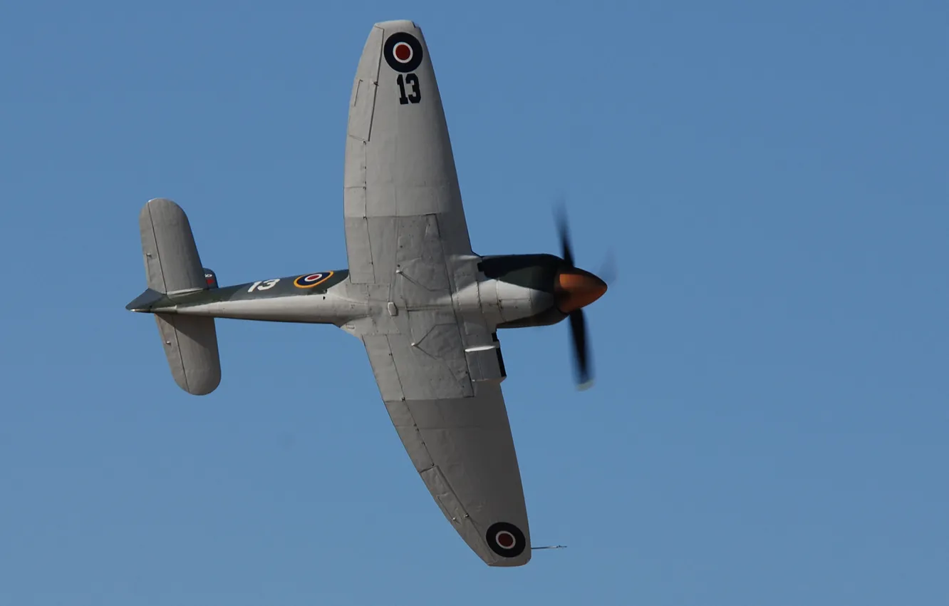 Photo wallpaper airplane, aviation, Hawker Sea Fury