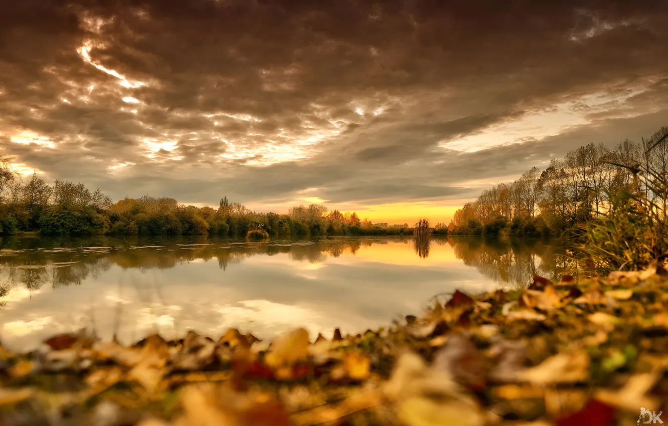 Photo wallpaper autumn, leaves, yellow, lake, shore