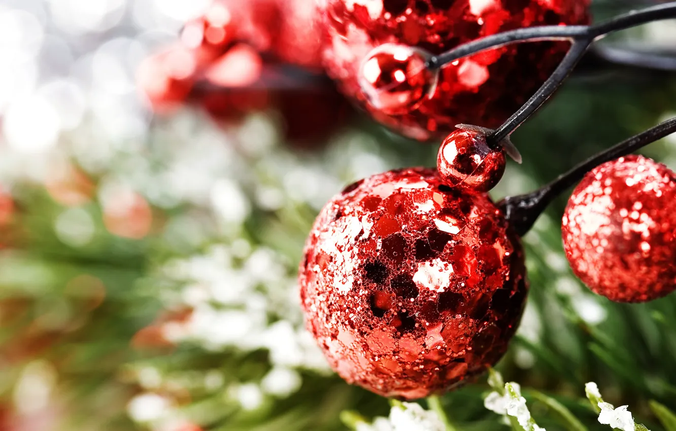 Photo wallpaper decoration, holiday, tree