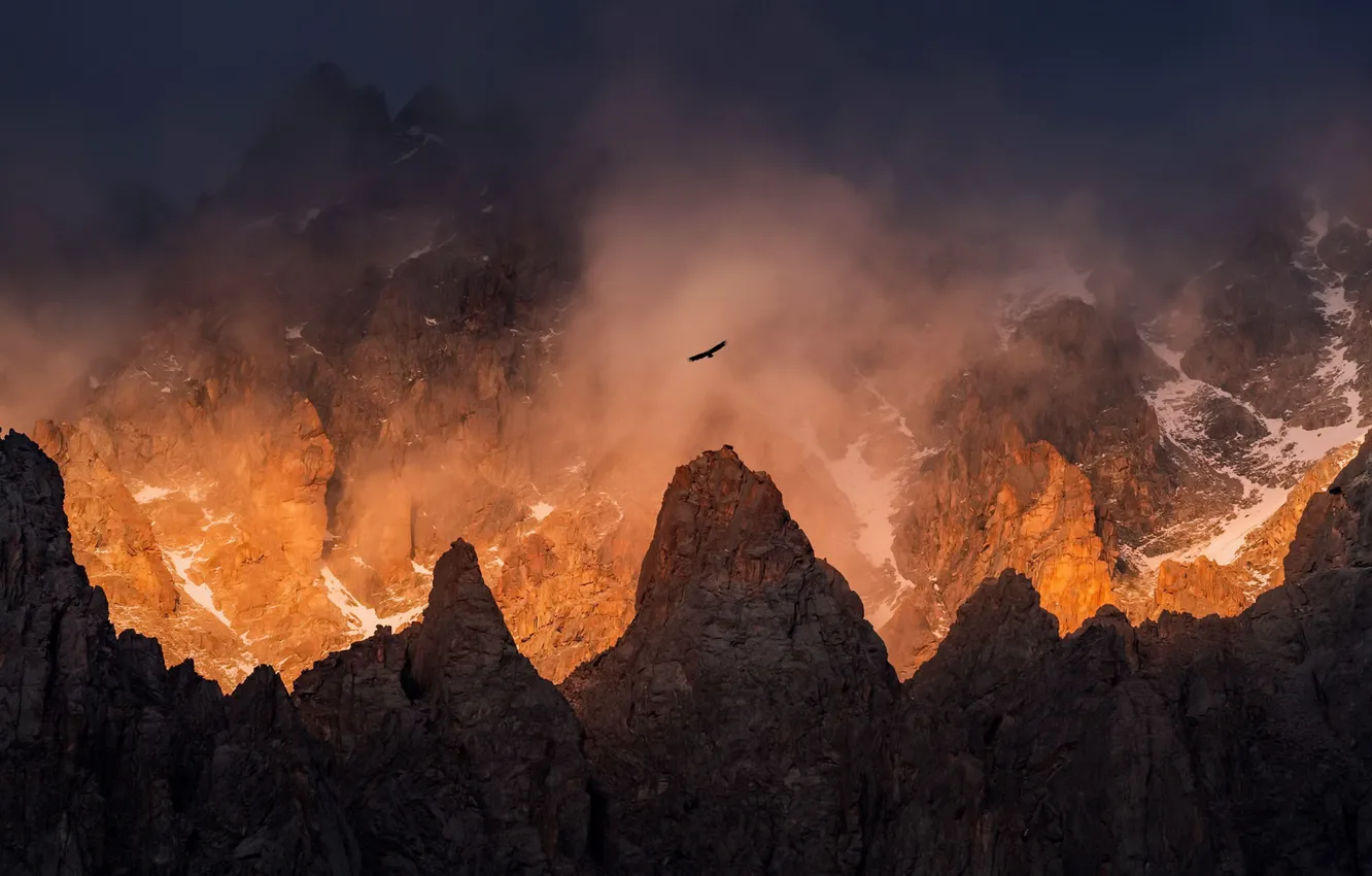 Photo wallpaper light, mountains, fog, bird