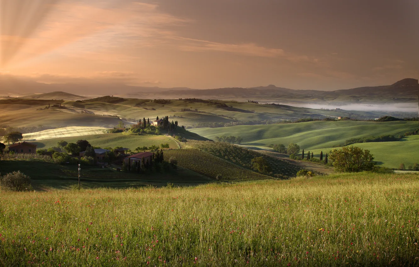 Photo wallpaper summer, the sky, field, Tuscany