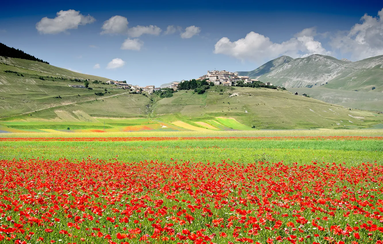 Photo wallpaper field, flowers, mountains, Maki, home, meadow, Italy, town