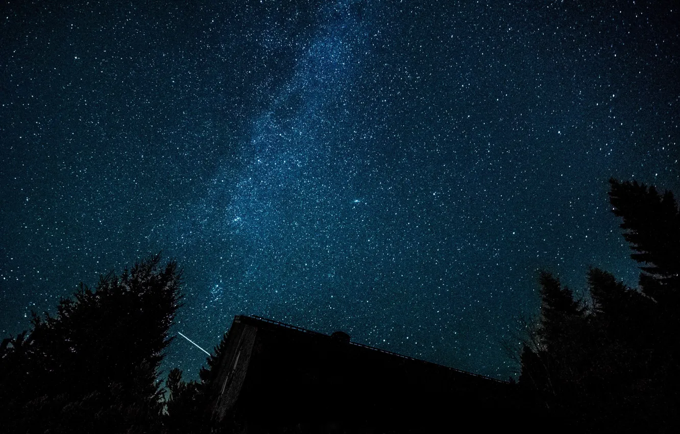 Photo wallpaper forest, space, stars, trees, The Milky Way, housing
