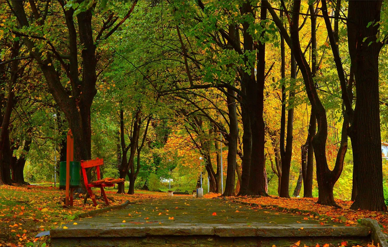 Photo wallpaper Autumn, Trees, Bench, Park, Fall, Park, Autumn, Falling leaves