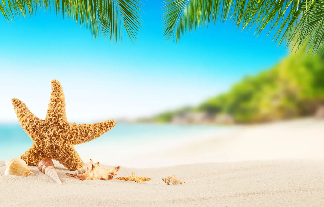 Photo wallpaper sand, sea, wave, beach, summer, the sky, stars, palm trees