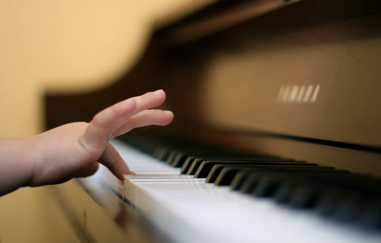 Photo wallpaper music, hand, piano