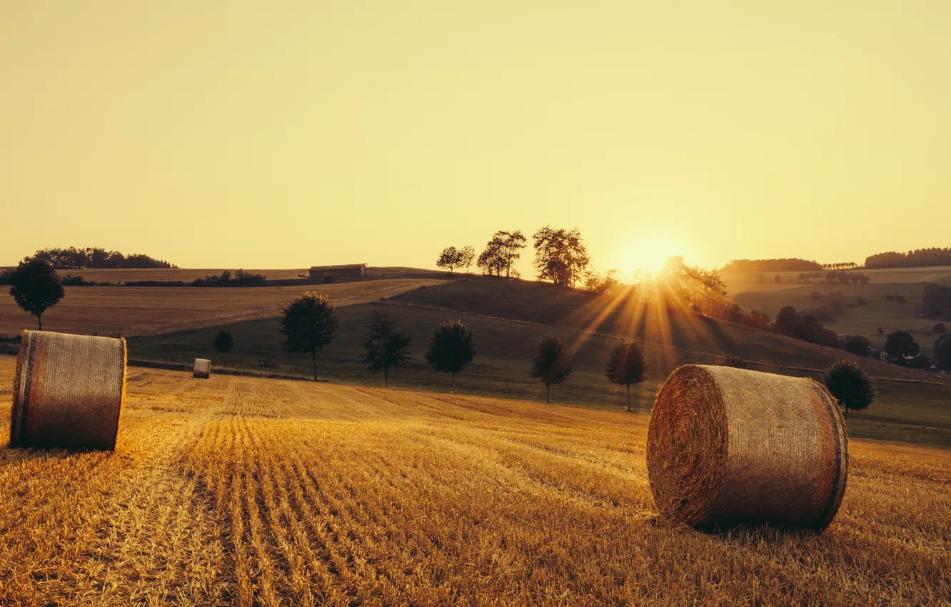 Photo wallpaper field, autumn, light, hay