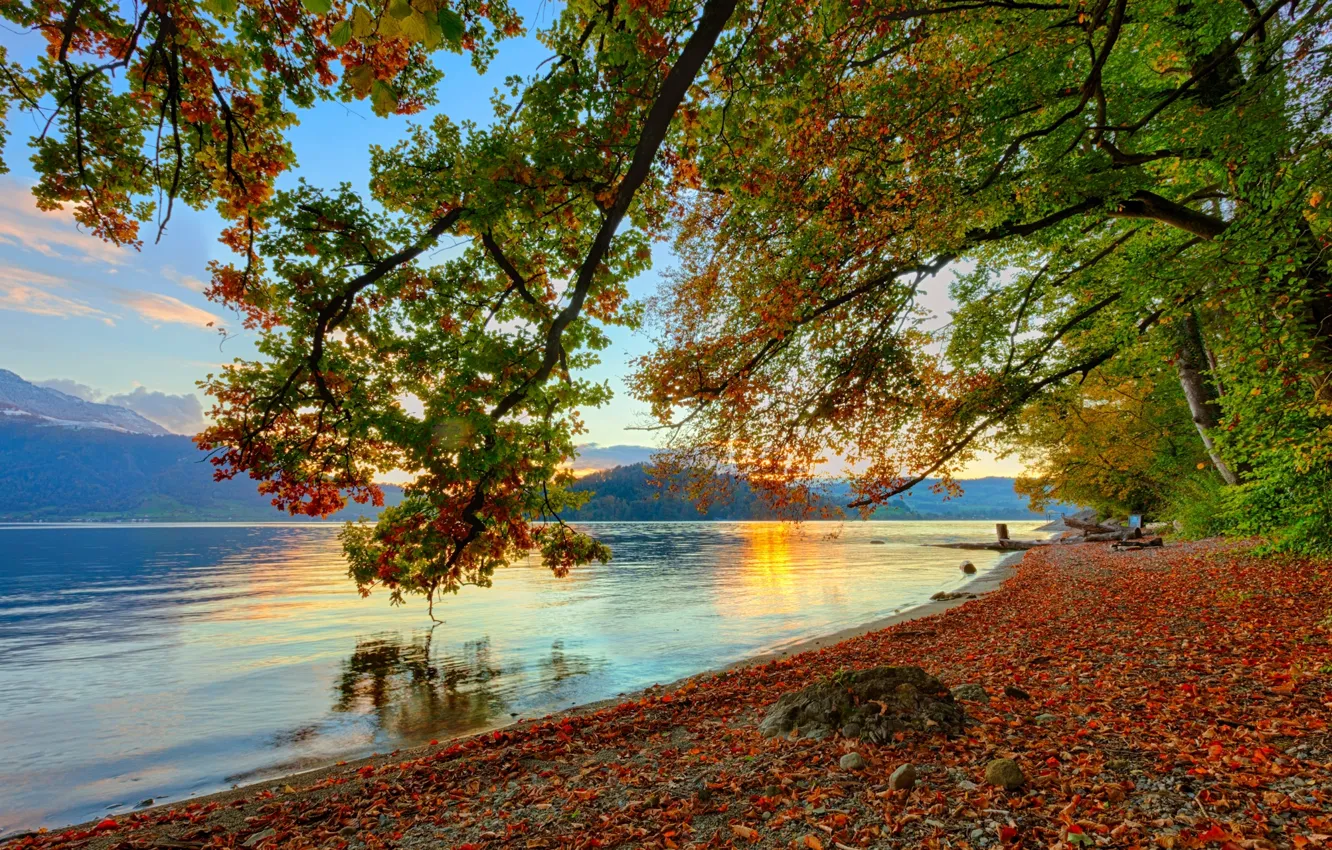 Photo wallpaper autumn, the sky, water, the sun, trees, mountains, nature, reflection