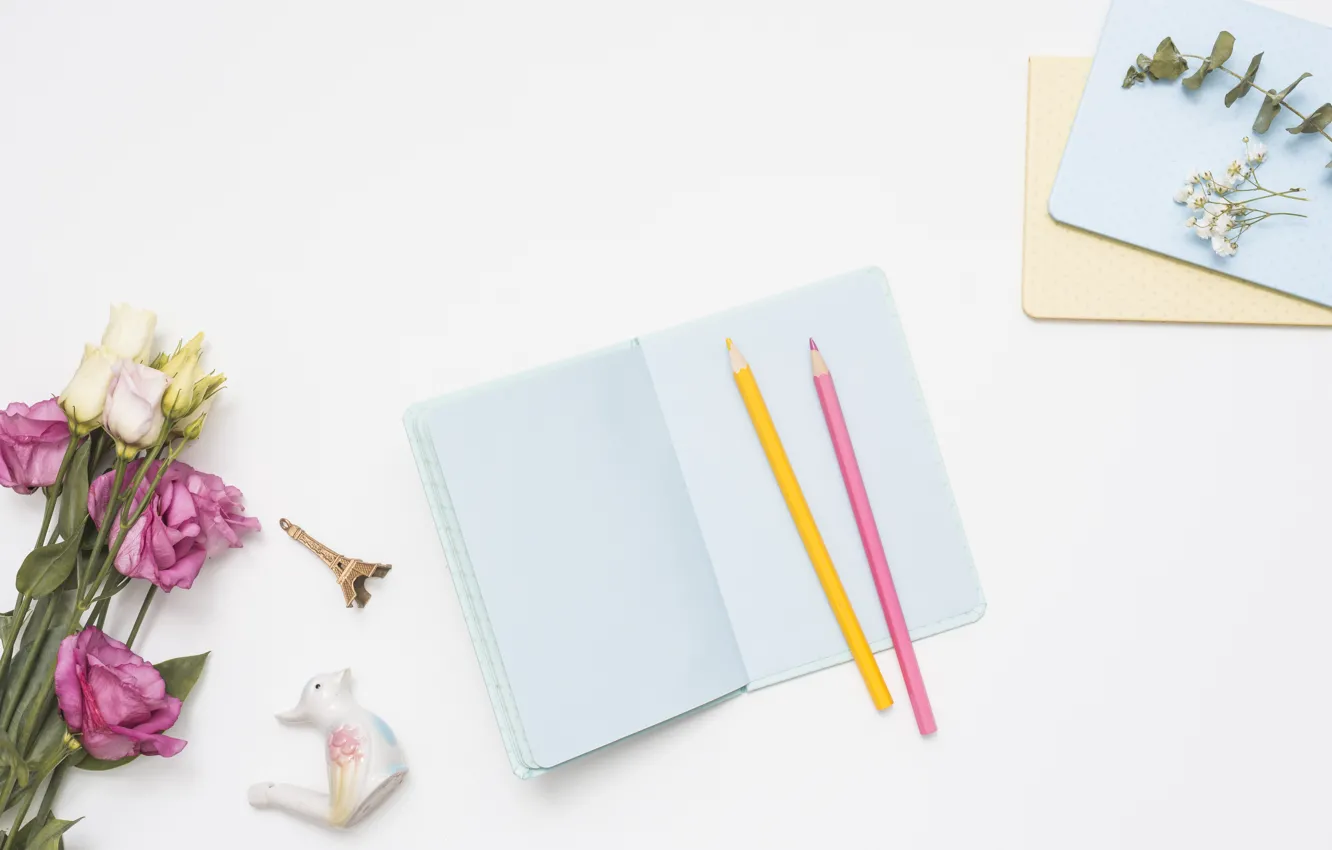 Photo wallpaper flowers, pencils, Notepad