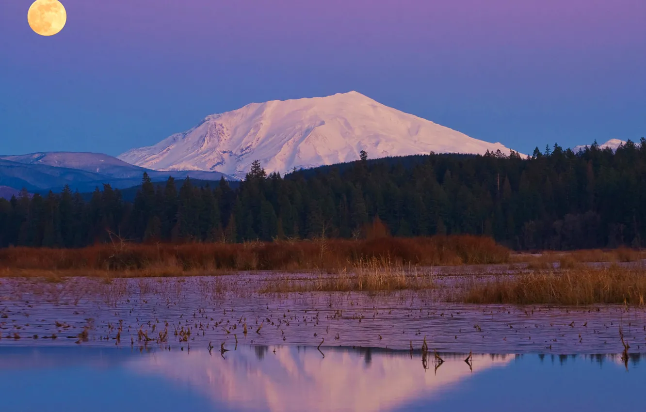 Photo wallpaper forest, the sky, snow, trees, mountains, nature, reflection, river