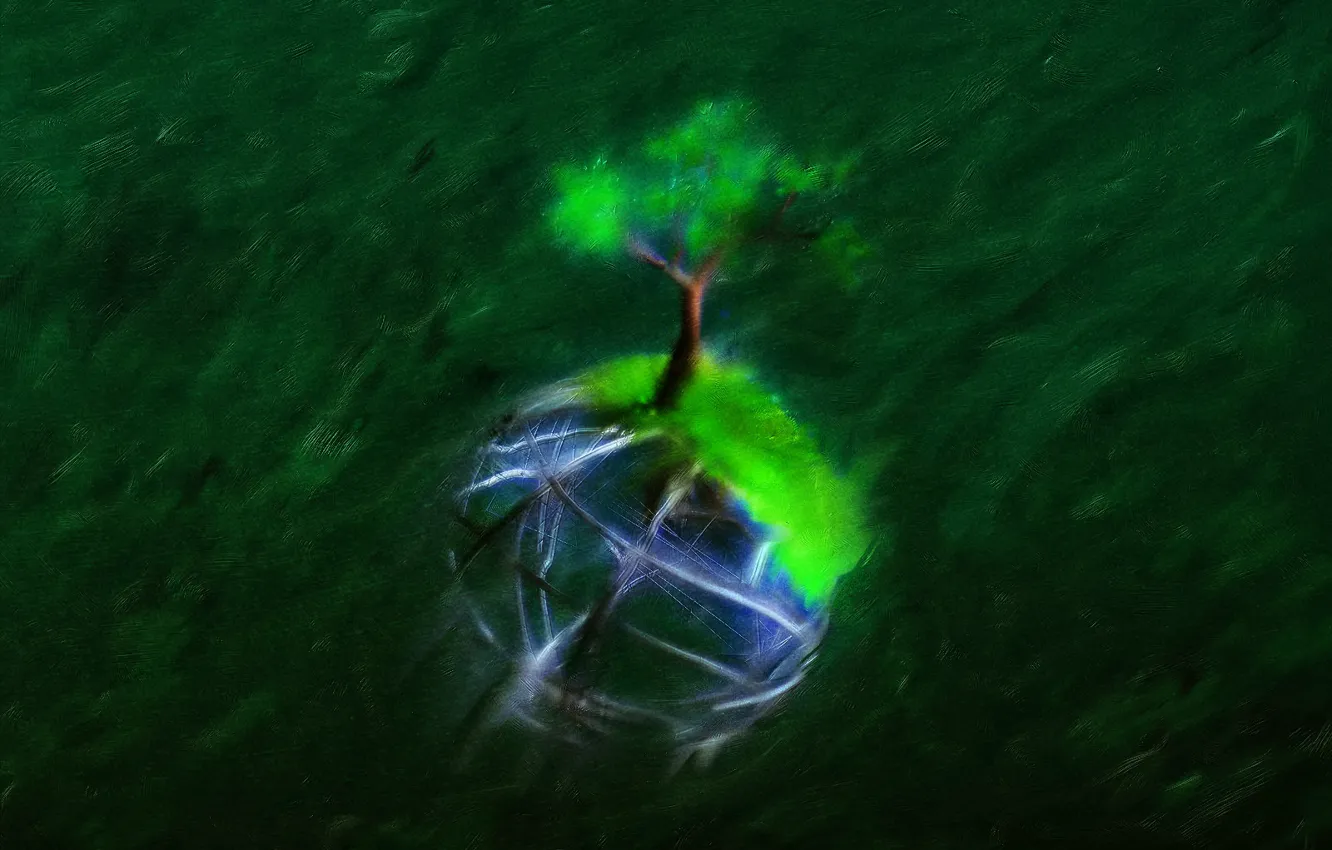 Photo wallpaper trees, small, Prince