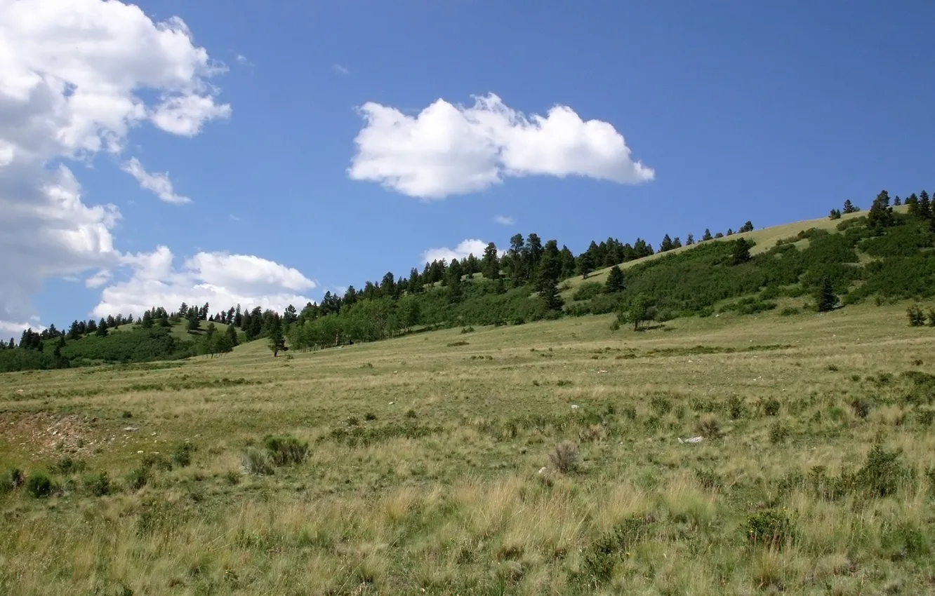 Photo wallpaper field, clouds, trees, hills