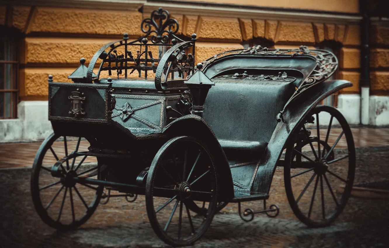 Photo wallpaper macro, coach, Chernivtsi, helmers