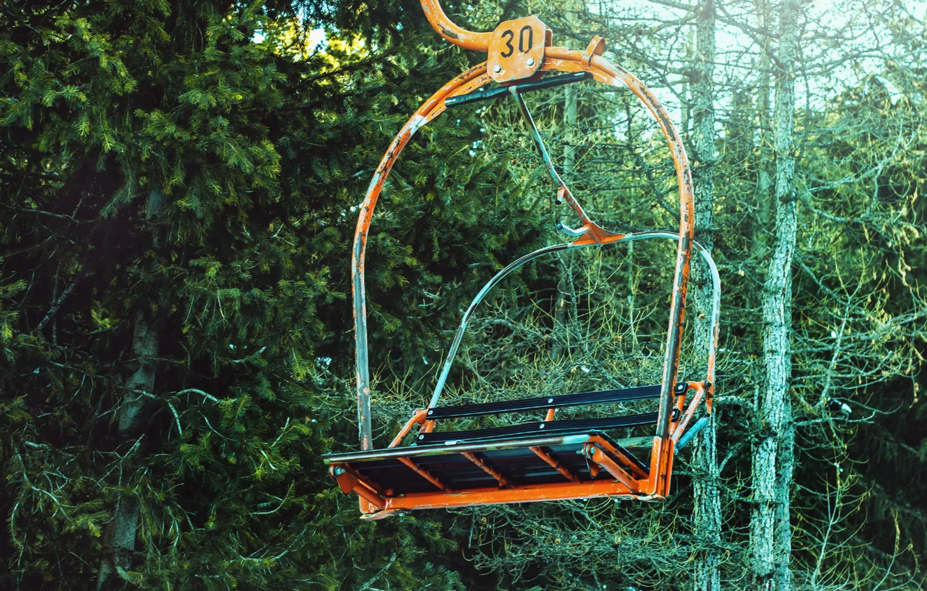 Photo wallpaper winter, forest, spruce, ate, Kyrgyzstan, Karakol, bugel