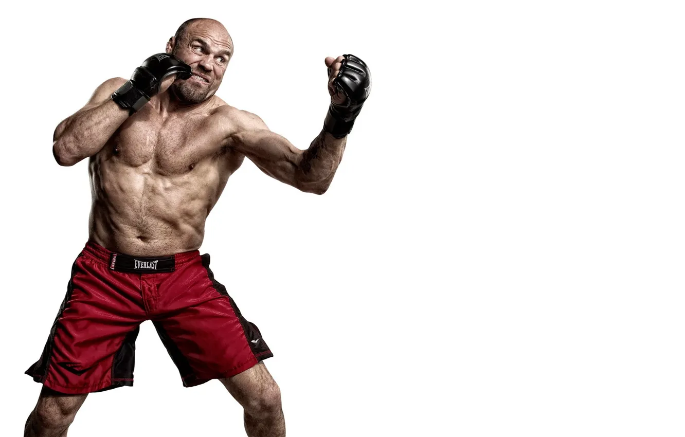 Photo wallpaper battle, fighter, fighter, Randy Couture, ufc