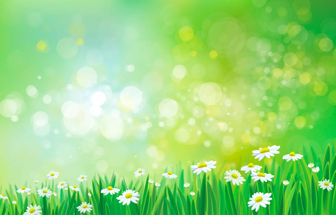 Photo wallpaper grass, flowers, chamomile