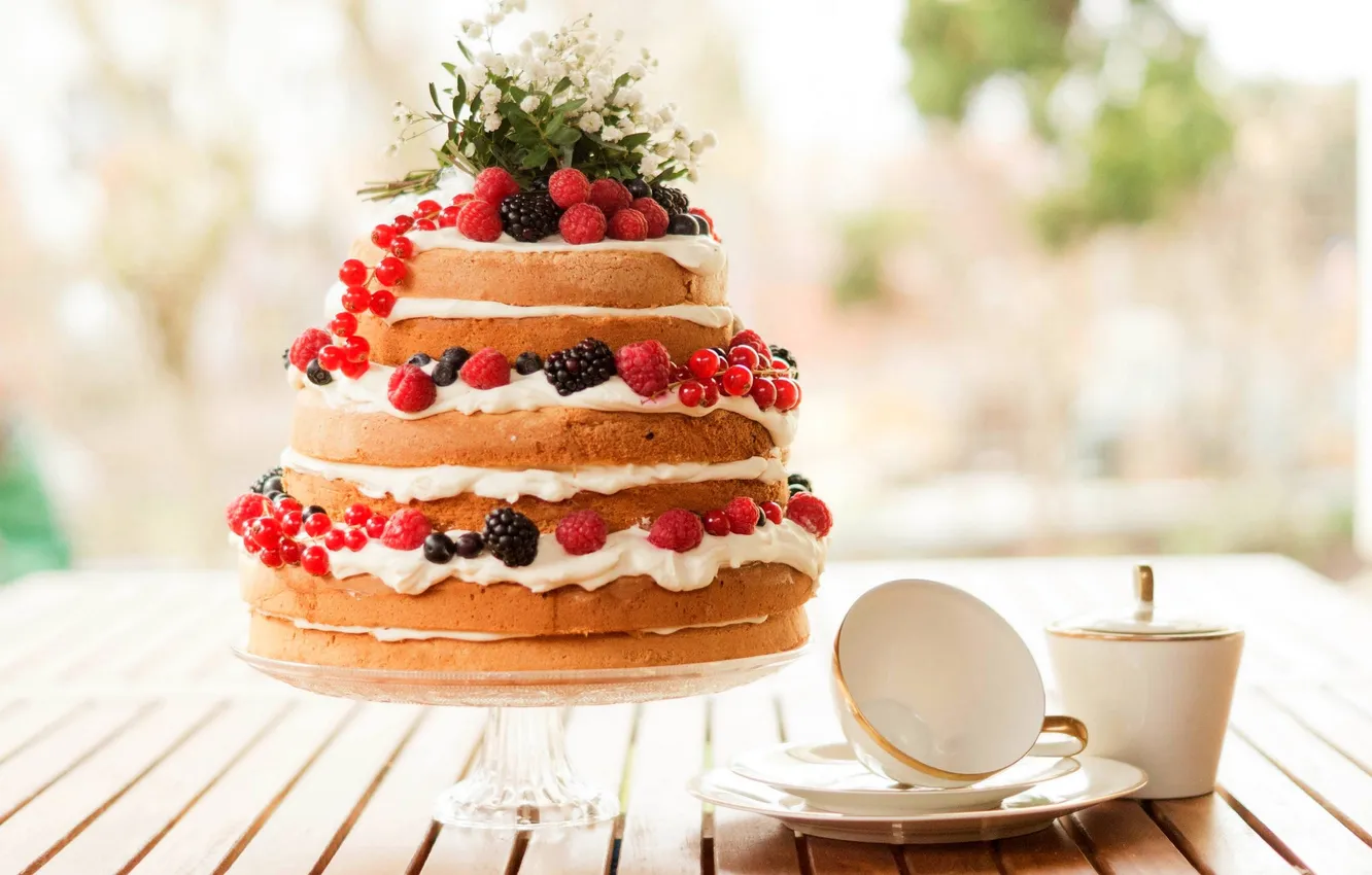 Photo wallpaper food, blueberries, cake, cake, fruit, cake, cream, dessert