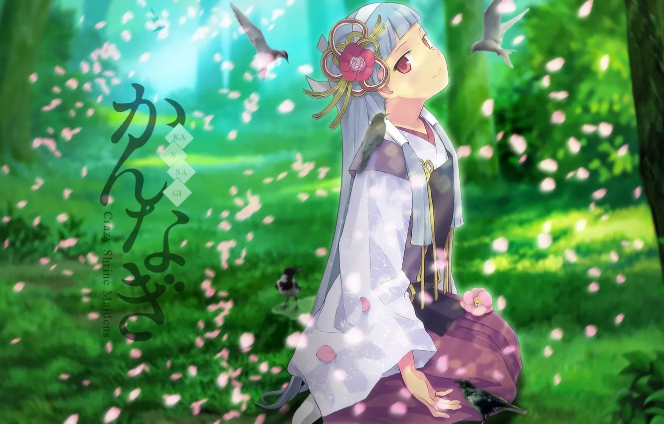 Photo wallpaper forest, look, girl, trees, nature, petals, bird, sitting