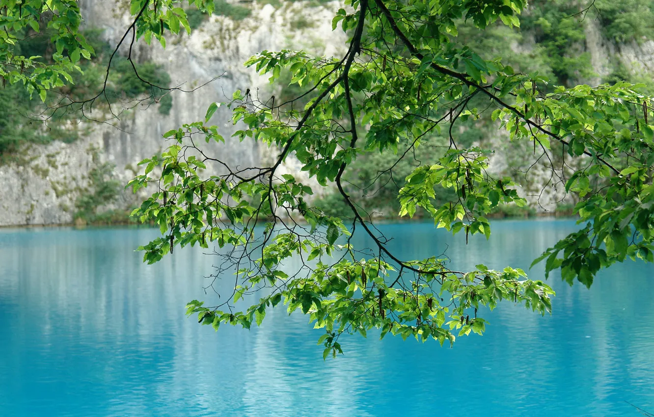 Photo wallpaper mountains, lake, branch, Montenegro