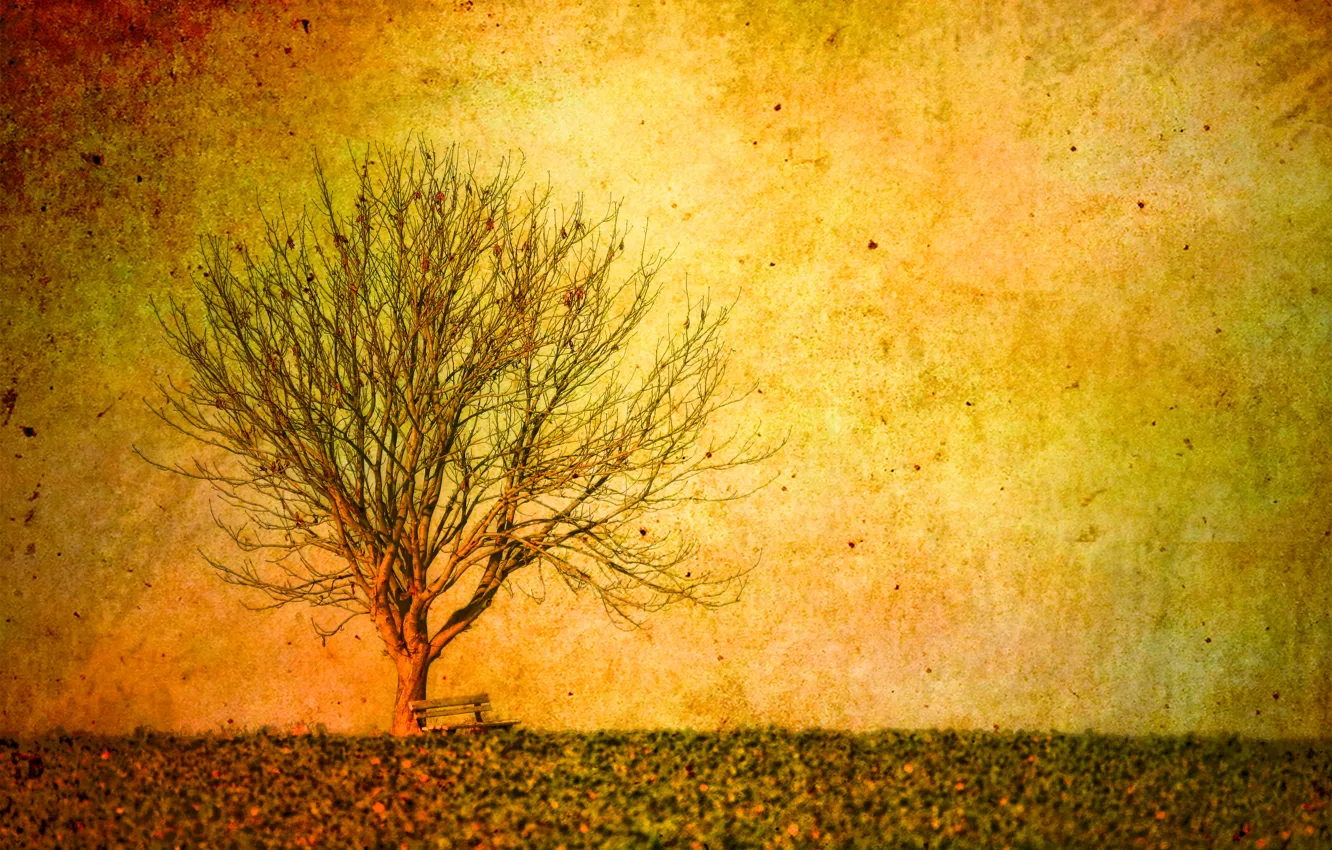 Photo wallpaper landscape, style, background, tree